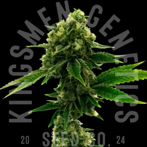 white_widow_feminized_flower